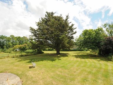 A large tree in the center of a grassy garden with a white bench and surrounding trees at Lee Barton Farmhouse in Bude