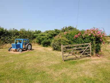 A grassy garden area with a blue wooden tractor near a wooden gate and flowering bushes