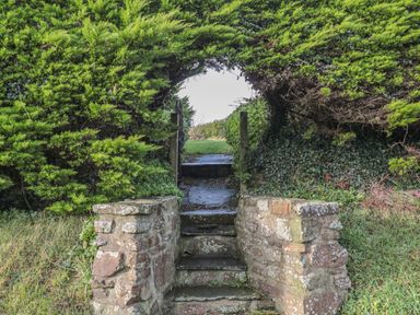 Stone steps leading to a garden path through an archway formed by evergreen shrubs at The Wagon Linney in Bude