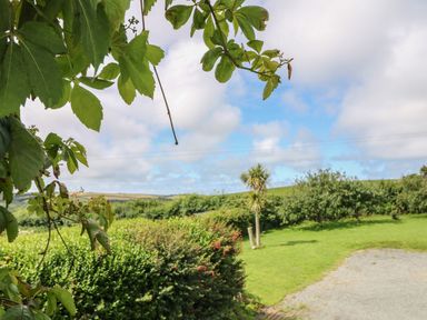 A garden area with green bushes and trees and a small palm tree under a partly cloudy sky at The Stable in Bude