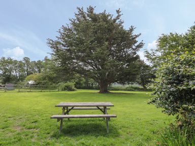 An outdoor area with a wooden picnic table on grass and a large tree in the background at The Stable in Bude