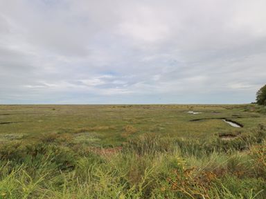 An open marshland with patches of water and grass under a cloudy sky at Primrose Cottage in Stiffkey
