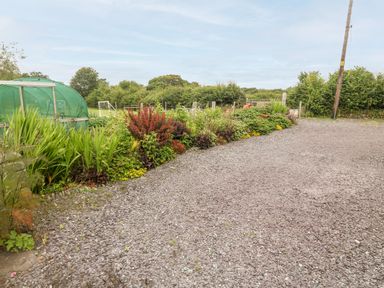 A garden area with a gravel pathway a greenhouse plants and bushes at Llofft Yr Yd in Llandwrog near Dinas Dinlle