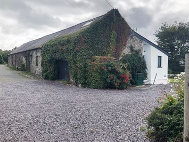 A stone building with ivy on the walls and bushes with red flowers on a gravel driveway at Llofft Yr Yd in Llandwrog near Dinas Dinlle