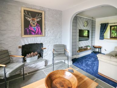 A living room with two chairs near a stone fireplace with pinecones and a deer portrait above and a TV with a clock on the wall at Cwmfadog in Llanafan-fawr near Beulah