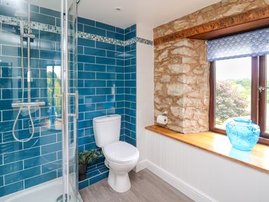 A bathroom with blue tiled shower enclosure toilet and window with a blue vase at Cwmfadog Llanafan-fawr near Beulah