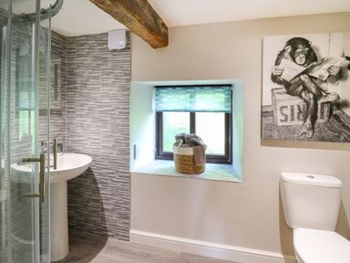 A bathroom with a glass shower enclosure a pedestal sink a window with a basket of towels and a toilet with a monkey reading a newspaper artwork on the wall at Cwmfadog in Llanafan-fawr near Beulah