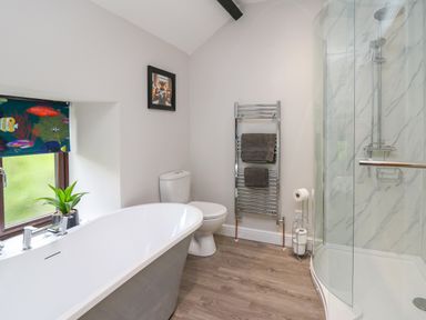 A bathroom with a bathtub toilet shower and towel rack at Cwmfadog in Llanafan-fawr near Beulah