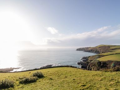 A coastline with grassy cliffs and ocean at 3 Rose Cottages Lansallos near Polperro
