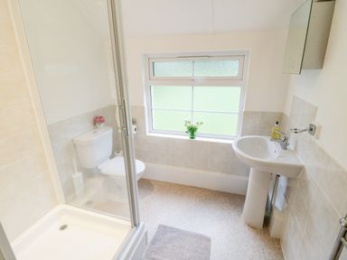 A bathroom with a shower, toilet, sink, window, and flowers in a vase at 4 Rose Cottages Lansallos near Polperro