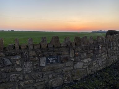A stone wall with a sign reading Sealands Farm in front of a green field at sunset