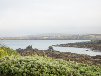 A coastal scene with shrubs in the foreground rocky shoreline and water with houses on hills in the background at Old Post Office in Bull Bay