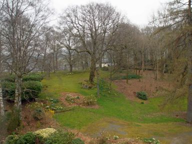 A wooded garden area with grass and patches of flowers at Sethera in Ambleside