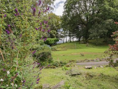 A garden with purple flowers a grassy area trees and a rope boundary at Sethera in Ambleside
