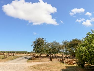A rural scene with trees, sheep, and a gravel path at Crabtree Cottage in Suffield near Scalby