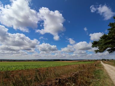 A field with clouds and a road at Crabtree Cottage in Suffield near Scalby
