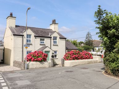 A white house with a green door and pink flower bushes by a street lamp at Bryn Peris in Moelfre