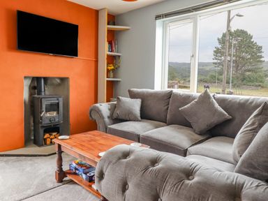 A living room with a grey sofa a wooden coffee table a black wood stove and a wall-mounted television at Bryn Hyfryd in Harlech