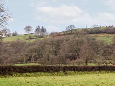 A hillside with trees and a house on top at Hen Dy Bryn Mawndy in Melin y Wig near Corwen