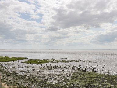 A coastal scene with a rocky and mossy shoreline and cloudy sky at Robins Nest Cottage in Brandesburton