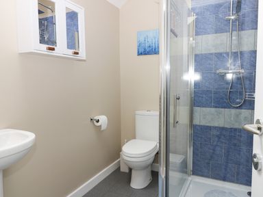 A bathroom with a toilet sink shower with blue wall tiles and a mirrored cabinet at Robins Nest Cottage in Brandesburton