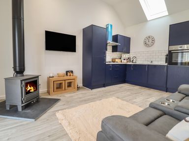 A room with a wood stove a wall-mounted television navy blue kitchen cabinets a gray sofa and a beige rug at 3 Mountain View Talwrn near Llangefni