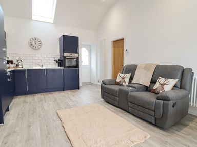A room with a gray sofa with deer cushions a beige rug and a kitchen area with blue cabinets at 3 Mountain View in Talwrn near Llangefni