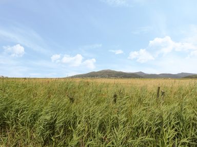 A field with tall grass and hills under a blue sky at Hafod-y-Gors in Fairbourne