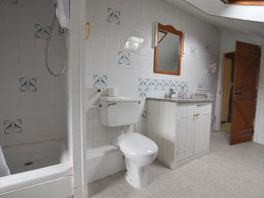 A bathroom with a toilet sink cabinet shower and wooden door at The Farmhouse in Newport Pembrokeshire