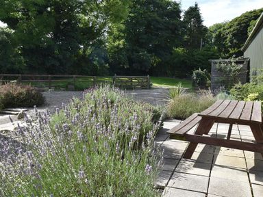 An outdoor patio area with a wooden picnic table and lavender plants surrounded by trees at The Farmhouse in Newport Pembrokeshire