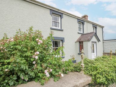 The exterior of a two story house with white walls blue window frames a white door and flowering bushes in front at The Farmhouse in Newport Pembrokeshire