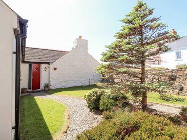 A garden with a gravel path leading to a red door on a white stone building with bushes and a tree at Bwthyn Alarch in Trefin St Davids Pembrokeshire
