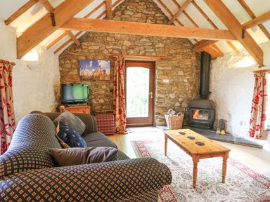 A living room with a sofa coffee table wood stove and television at The Granary in Newport Pembrokeshire