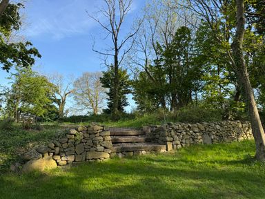 A stone wall with three wooden steps leading to a wooded area with trees and grass at The Granary in Newport Pembrokeshire