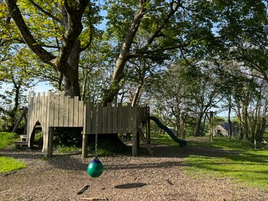 A wooden play structure with a slide and a tree swing in a grassy area with trees at The Granary in Newport Pembrokeshire