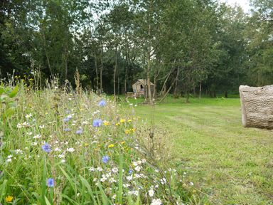 A grassy lawn with wildflowers and trees with a wooden playhouse and a log at Stable Cottage in Newport Pembrokeshire