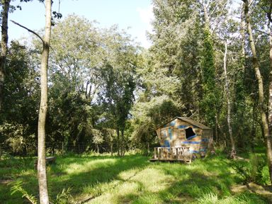 A small wooden playhouse with a porch in a forest clearing surrounded by trees at Stable Cottage in Newport Pembrokeshire