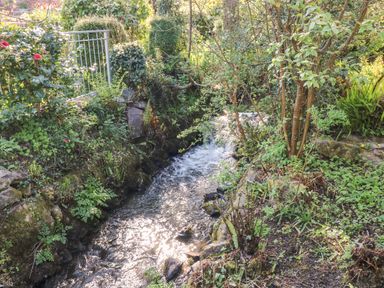 A garden stream with plants shrubs and a metal gate at Otter Cottage in Dinas Cross