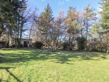 A garden with grass trees and a small shed at Otter Cottage in Dinas Cross