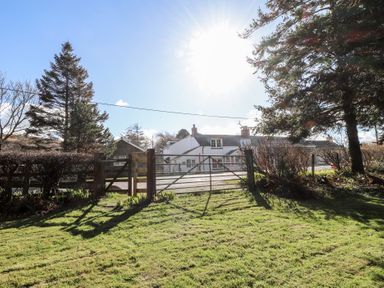 A grassy yard with tall trees and a metal gate in front of a white house at Otter Cottage in Dinas Cross
