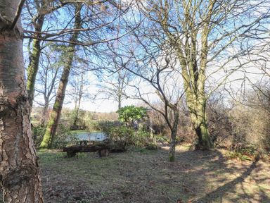 A garden area with trees bushes a stone bench and a small bridge over a pond at Otter Cottage in Dinas Cross