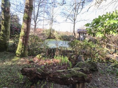A garden with a mossy log pond trees and a small wooden bridge at Otter Cottage in Dinas Cross