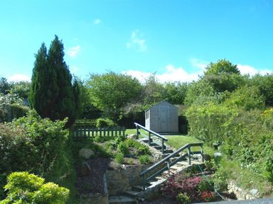A garden with a small shed stairs and various plants and trees at Derlwyn in Newport Pembrokeshire