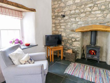 A living room with an armchair and television at West End Cottage in Newport, Pembrokeshire