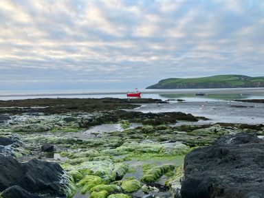 A coastal view with boats on water at West End Cottage Newport, Pembrokeshire