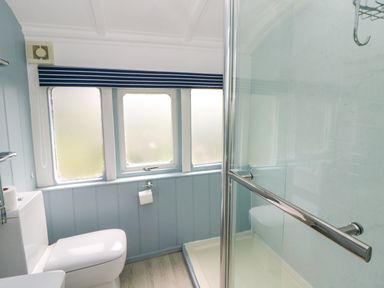 A bathroom with a toilet and a shower at Clifftop Carriage, Aberporth, Ceredigion