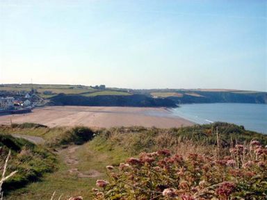 A coastal path with grass and flowers overlooking a sandy beach and cliffs at Seabrook in Broad Haven Pembrokeshire
