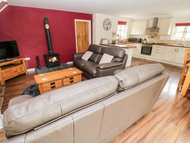An open plan living room and kitchen with brown leather sofas a wood stove and wooden furniture at Gwyddno Lodge Narberth Pembrokeshire