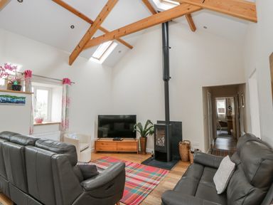 A living room with a television and wood stove at Y Felin in Cardigan, Ceredigion