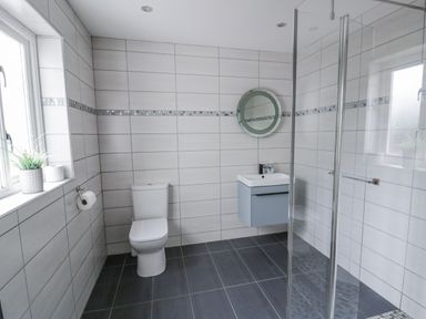 A bathroom with a sink, toilet, and shower at Y Felin in Cardigan, Ceredigion